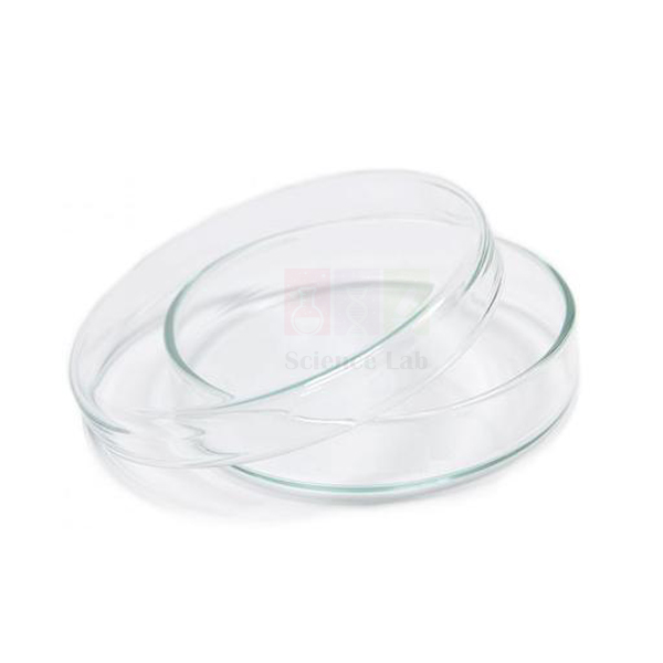 Petri Dish Glass With Lid